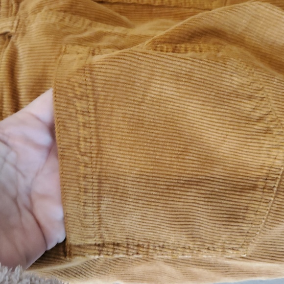 Anthropologie Pilcro Bootcut Corduroy Trousers In Burnt Orange Size 25P - Picture 7 of 15